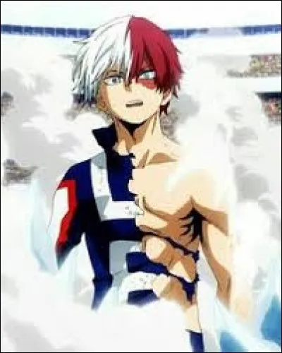 Quel est le plat préféré de Shoto Todoroki ?