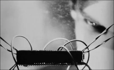 Dans l'appartement du hros, on voit souvent courir des insectes ('bugs' en anglais). Quelles petites btes retrouve-t-on le plus souvent ?