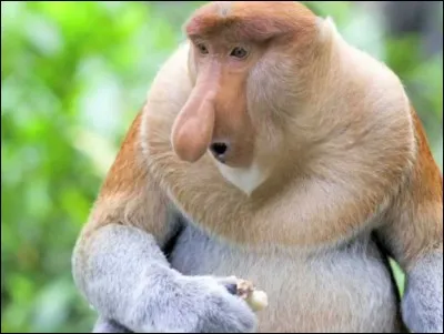 Dans le dessin animé "Zootopie", quel animal incarne un employé de la préfecture ?