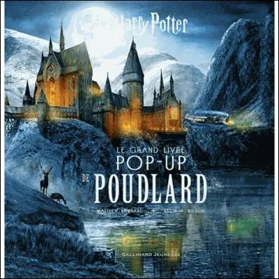 Dans quelle maison de Poudlard veux-tu qu'il soit ?