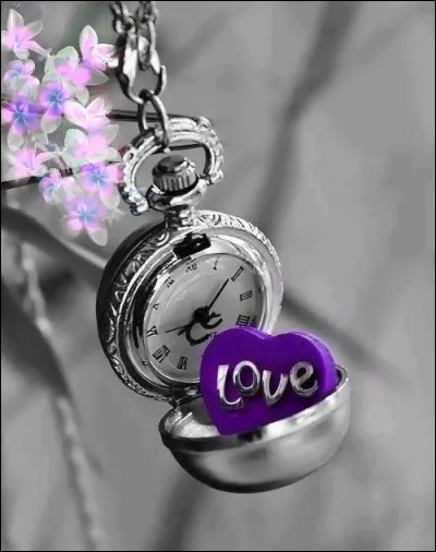 Qui chantait "Le Temps des fleurs" ?