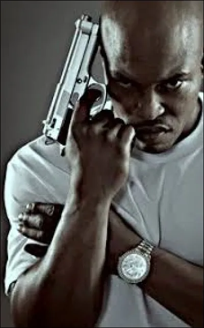 Dans quelle autre série retrouve-t-on le gang des Niners ?