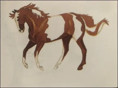 Quelle est la robe de ce cheval ?