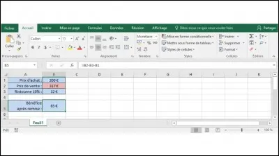Je revends un produit dont le prix d'achat est de 200 €. Si j'offre une ristourne de 10% à certains de mes clients, je veux que mon bénéfice après remise soit de 85 €.
Quel outil utiliser pour qu'Excel calcule automatiquement la valeur du prix de vente en prenant en compte le prix d'achat et le pourcentage de la remise ?