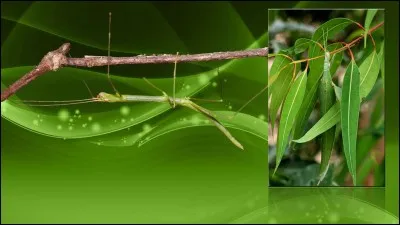 Bon allez, un facile !