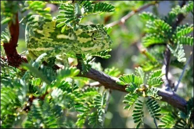 En voici un plus dur :