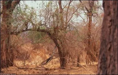 Tu ne vas pas le lâcher !