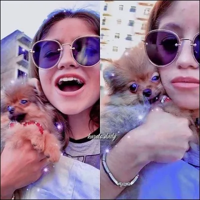 Comment s'appelle son chien ?