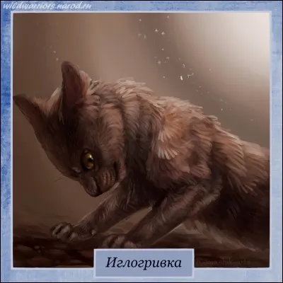 Ta sur se casse les pattes arrière. Tu apprends qu'elle ne pourra jamais devenir guerrière.