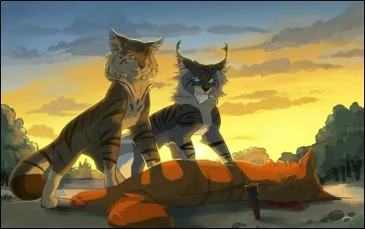 Que veux-tu devenir ?