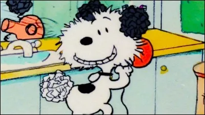 De qui Snoopy est-il le compagnon ?