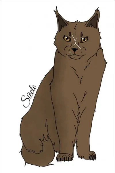 C'est moi qui ai tué le premier amour d'Étoile de Feu. Finalement, c'est son meilleur ami qui m'a ôté la vie. Je suis :