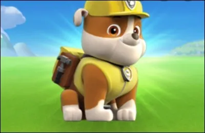 Le chien habillé en jaune s'appelle Ruben