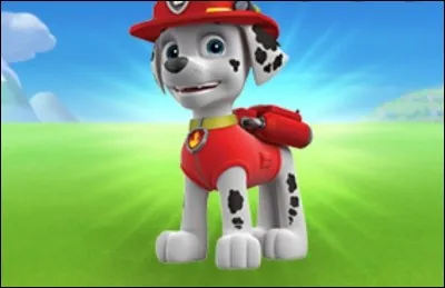 Le chien habillé en rouge s'appelle Rocky