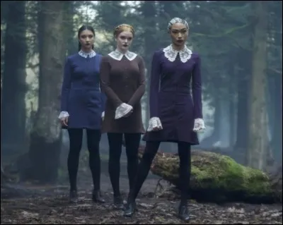 Comment se nomme la Saint Valentin des sorciers ?