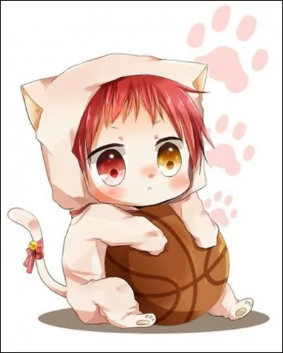 Ta couleur préférée est...