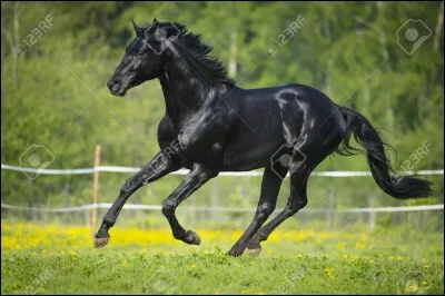 Tu montes Typhon au cours. C'est le poney le plus détestable du centre équestre. Comment faut-il réagir ?