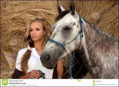Le cheval peut reconnaître quelqu'un en photo :