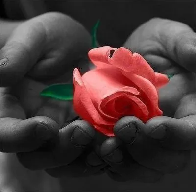 En 1984, Thierry Le Luron fut l'invité de Michel Drucker dans l'émission "Champs Élysées" qui fit couler beaucoup d'encre. Qui, Le Luron parodia-t-il en direct, en chantant "L'emmerdant c'est la rose" ?