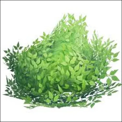 Quel est ton style de jeu ?