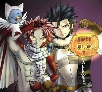 Lequel de ces personnages de ''Fairy Tail'' porte le seau à bonbons ?