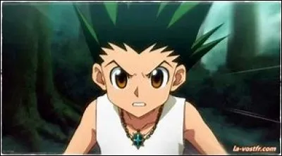 Dans "Hunter X Hunter", sur quelle île habite Gon ?