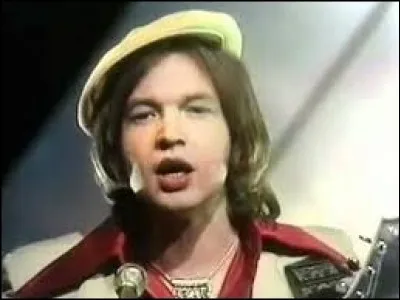 Les Rubettes ont chanté ''Sugar Baby Love''. Dans quel domaine ont brillé Sugar Ray Robinson et Sugar Ray Leonard ?