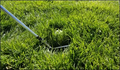 Comment appelle-t-on la zone du parcours tondue haute ?