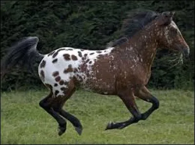 Compliqué ! Mais magnifique, c'est...