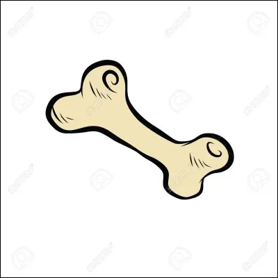 Le mot commence par Ex :