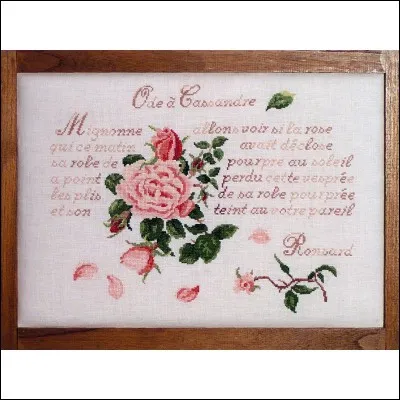 Le mot commence par Ex :