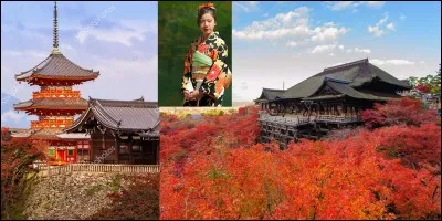 Si, du XVIIe au XIXe siècle, vous vouliez voir un vu voir se réaliser, c'est dans ce lieu qu'il vous deviez vous rendre ! Mais attention, pour cela, il vous fallait sauter du haut d'une plateforme. A priori, vous avez une bonne chance de réussir puisque seul 15 % d'entre eux se sont mal terminés ! Actuellement, cette pratique est interdite !
Où sommes-nous ?