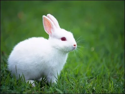 Je vous donne rendez-vous pour cette r&eacute;ponse !