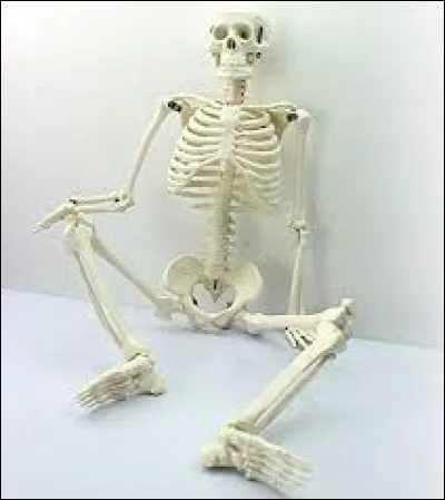 La fin de Charles VII. Survenue le 22 juillet 1461, à Mehun-sur-Yèvre, la mort de notre héros du jour est due à ...