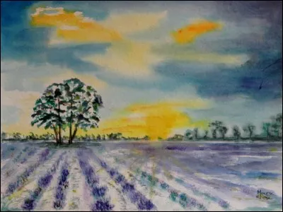 Le graves est un vin qui tire son nom de la ville où il est produit.