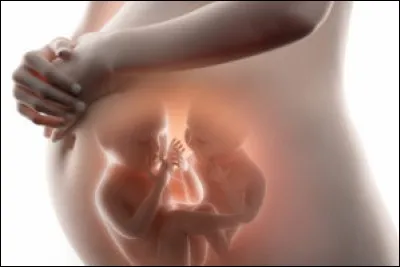 Comment s'appelle la p&eacute;riode de croissance avant la naissance ?