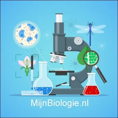 Quelle substance de la membrane cellulaire contribue &agrave; la stabilit&eacute; et au maintien de la structure de la cellule ?