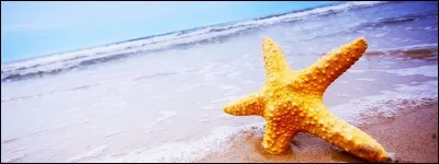 Pourquoi l'eau de la mer est bleu ?