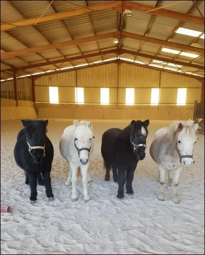 Galop 2 : je suis prête, il y a un cavalier dans le manège, que dois-je faire ?