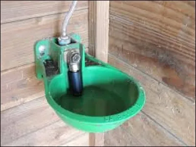 Galop 4 : que veut dire couper l'eau ?