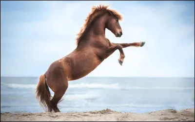 En termes de taille, tu ferais plutôt...