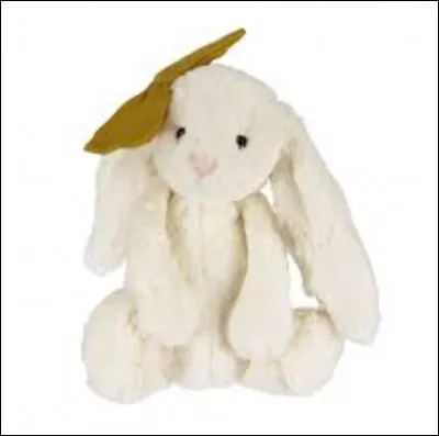 Tu vois un beau doudou dans un magasin :