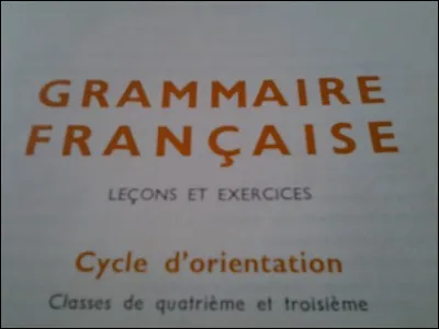 Bon sens populaire : "Pierre qui roule n'amasse pas...".