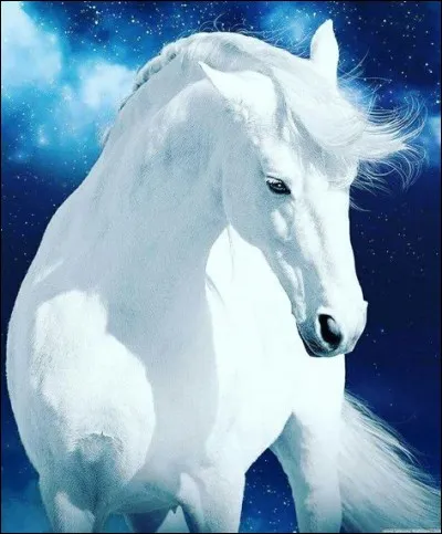 En cas d'attaque, que fais-tu ?