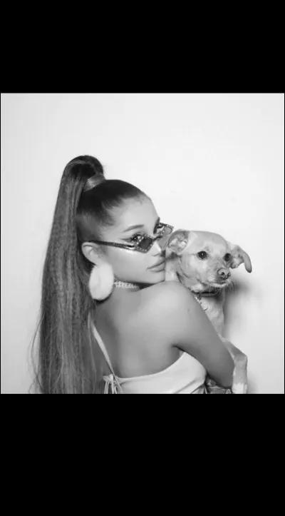 Quand est-ce que Toulouse a été adopté ?