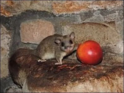 Quel est ce département portant le nom d'un cours d'eau ?