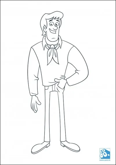 Quelle est la couleur de cheveux de ce personnage ?