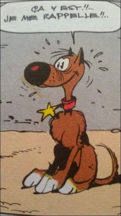 Comment Morris définit-il Rantanplan ?