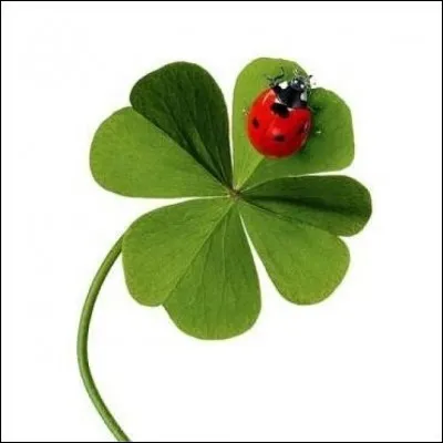 Quel est le livre de Harlan Coben ?