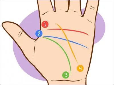 En chiromancie, de quelle couleur est représentée la ligne de chance sur ce dessin ?